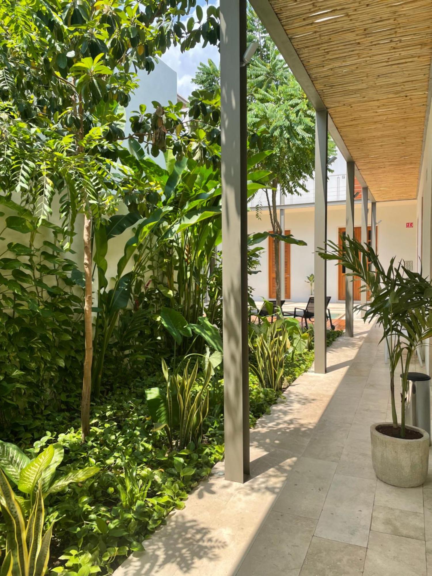 Villa Orquidea Boutique Hotel Mérida Esterno foto